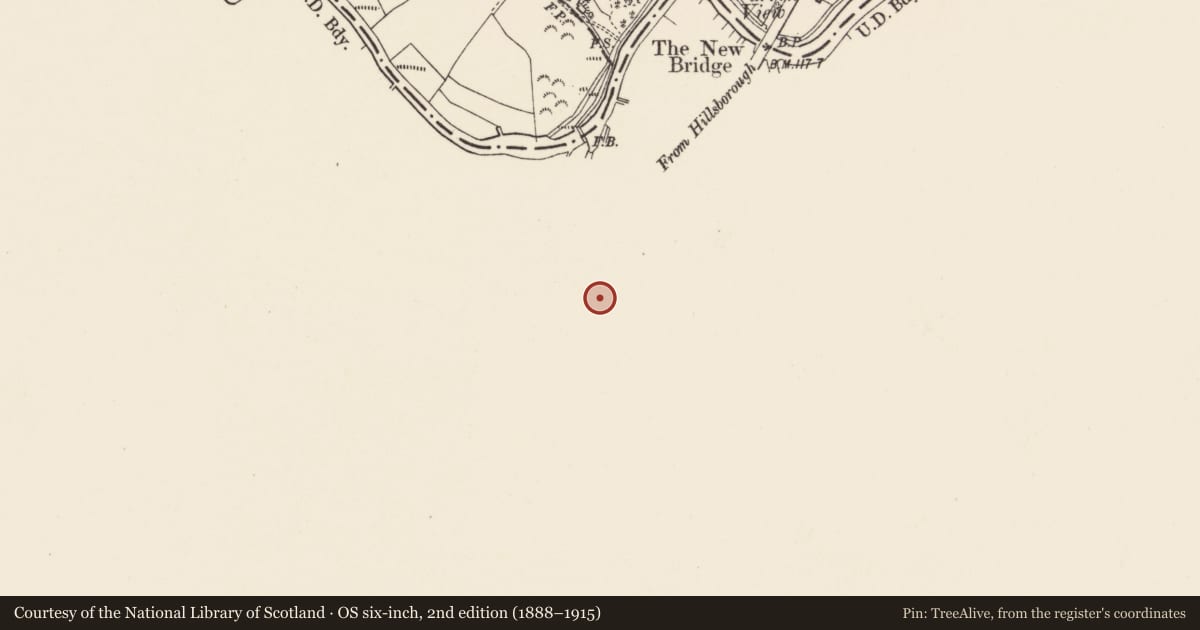 Ordnance Survey six-inch map, 2nd edition (1888–1915) covering the location of Navigation House, Blaris, Lisburn and Castlereagh, with a pin at the register's coordinates