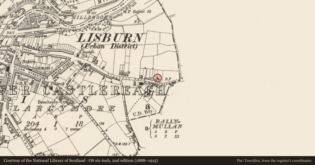Ordnance Survey six-inch map, 2nd edition (1888–1915) covering the location of 113-115 Hillhall Road, Largymore, Lisburn and Castlereagh, with a pin at the register's coordinates
