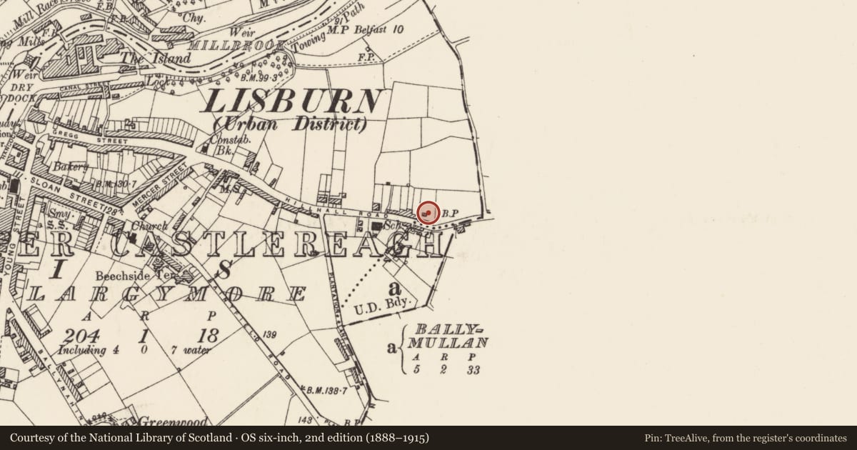Ordnance Survey six-inch map, 2nd edition (1888–1915) covering the location of 117 Hillhall Road, Largymore, Lisburn and Castlereagh, with a pin at the register's coordinates
