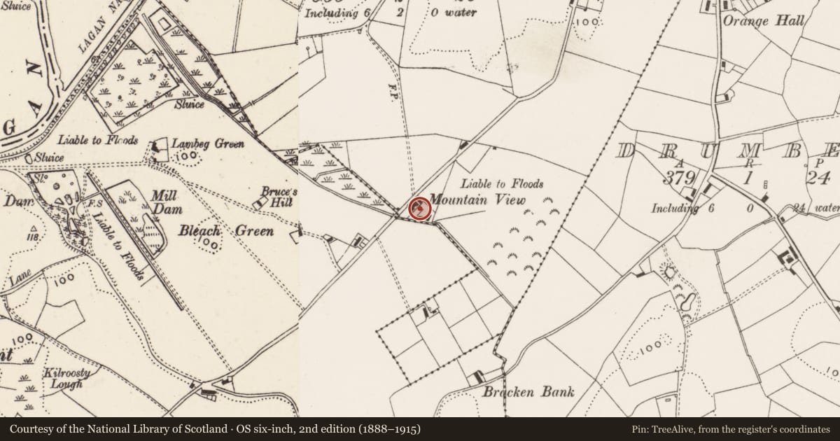 Ordnance Survey six-inch map, 2nd edition (1888–1915) covering the location of Mountain View House, Tullynacross Ballyskeagh, Lisburn and Castlereagh, with a pin at the register's coordinates