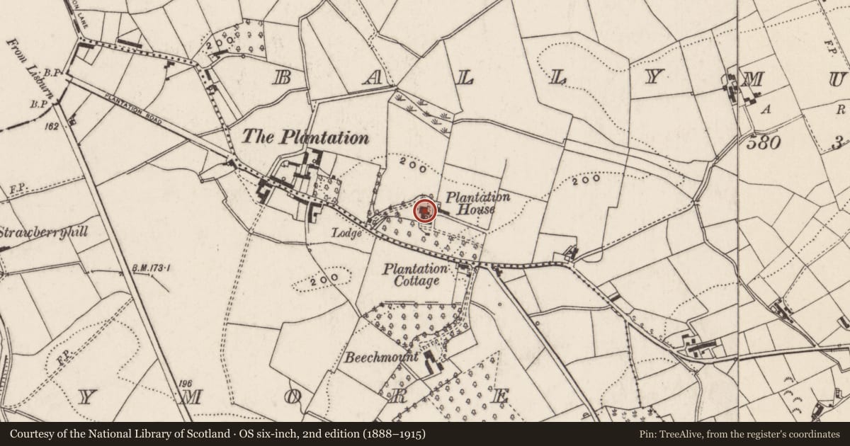 Ordnance Survey six-inch map, 2nd edition (1888–1915) covering the location of Shell House, Ballymullan Largymore, Lisburn and Castlereagh, with a pin at the register's coordinates