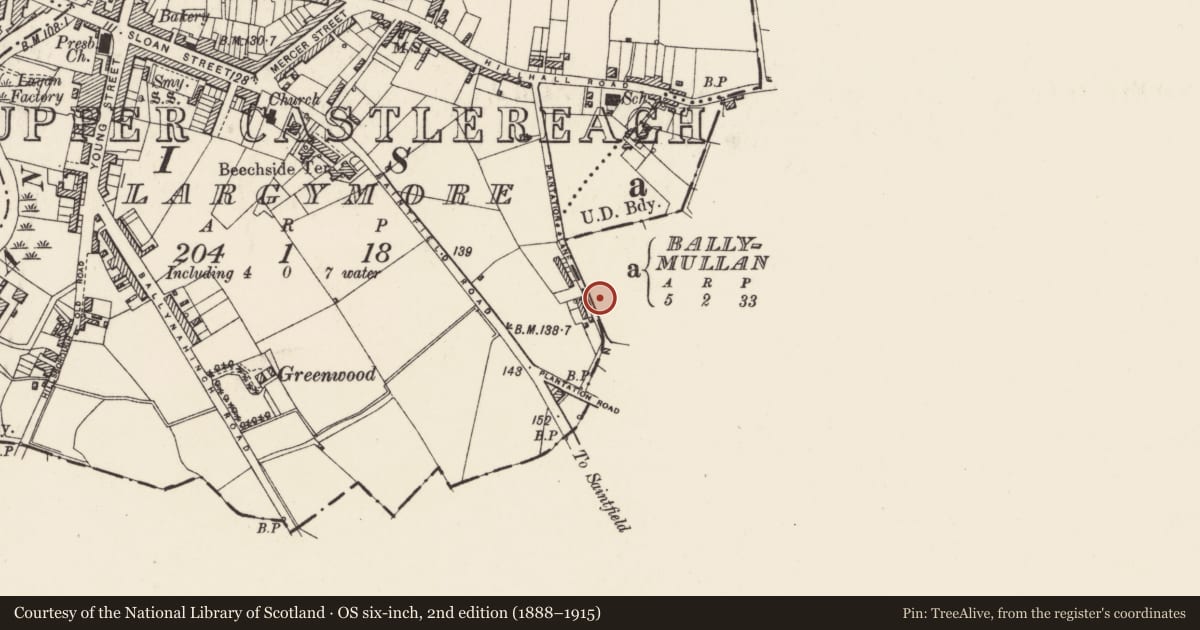 Ordnance Survey six-inch map, 2nd edition (1888–1915) covering the location of Site of 25-27 Plantation Drive, Lisburn and Castlereagh, with a pin at the register's coordinates
