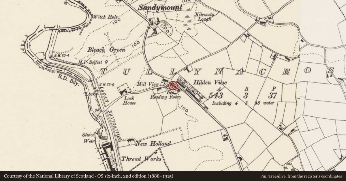 Ordnance Survey six-inch map, 2nd edition (1888–1915) covering the location of 74 Hilden View, Tullynacross, Lisburn and Castlereagh, with a pin at the register's coordinates