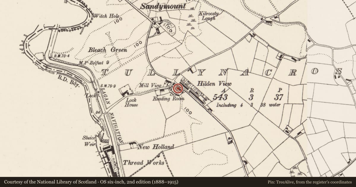 Ordnance Survey six-inch map, 2nd edition (1888–1915) covering the location of 76 Hilden View, Tullynacross, Lisburn and Castlereagh, with a pin at the register's coordinates