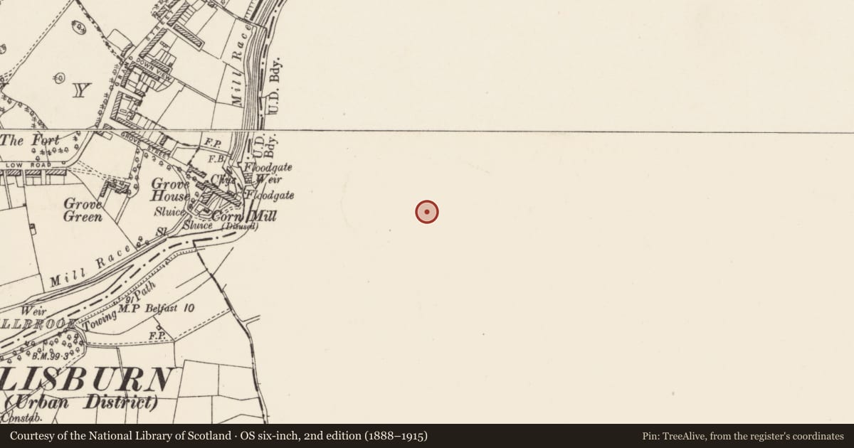 Ordnance Survey six-inch map, 2nd edition (1888–1915) covering the location of 22 Church Lane, Lisburn and Castlereagh, with a pin at the register's coordinates