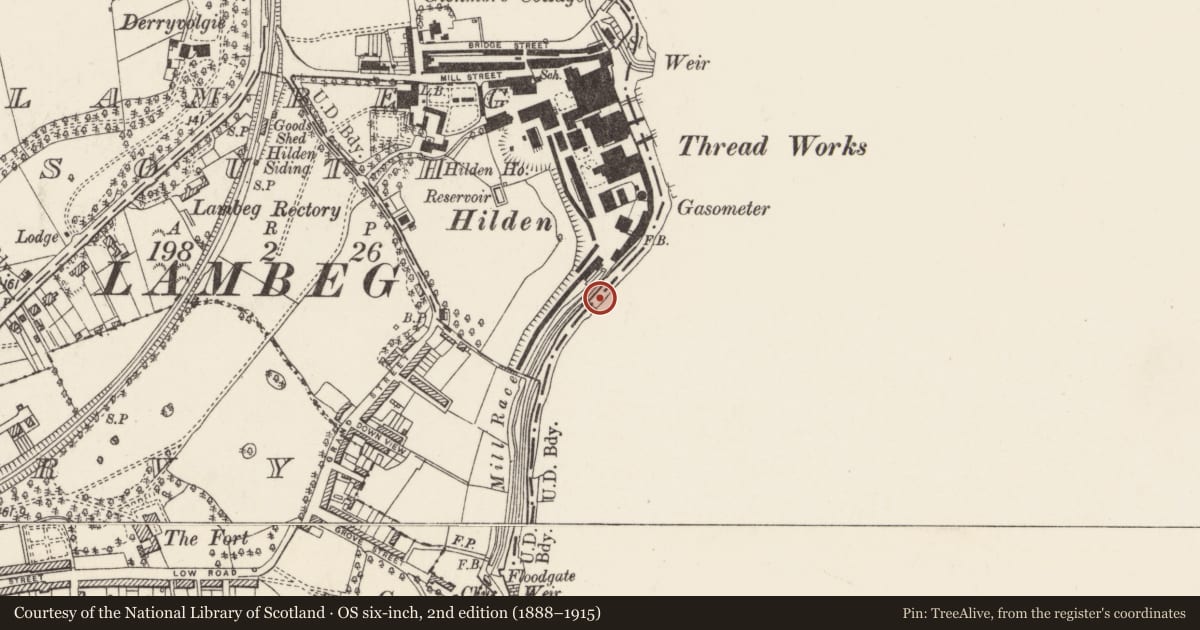 Ordnance Survey six-inch map, 2nd edition (1888–1915) covering the location of Iron Lattice Bridge, Lambeg South/Lisnatrunk, Lisburn and Castlereagh, with a pin at the register's coordinates