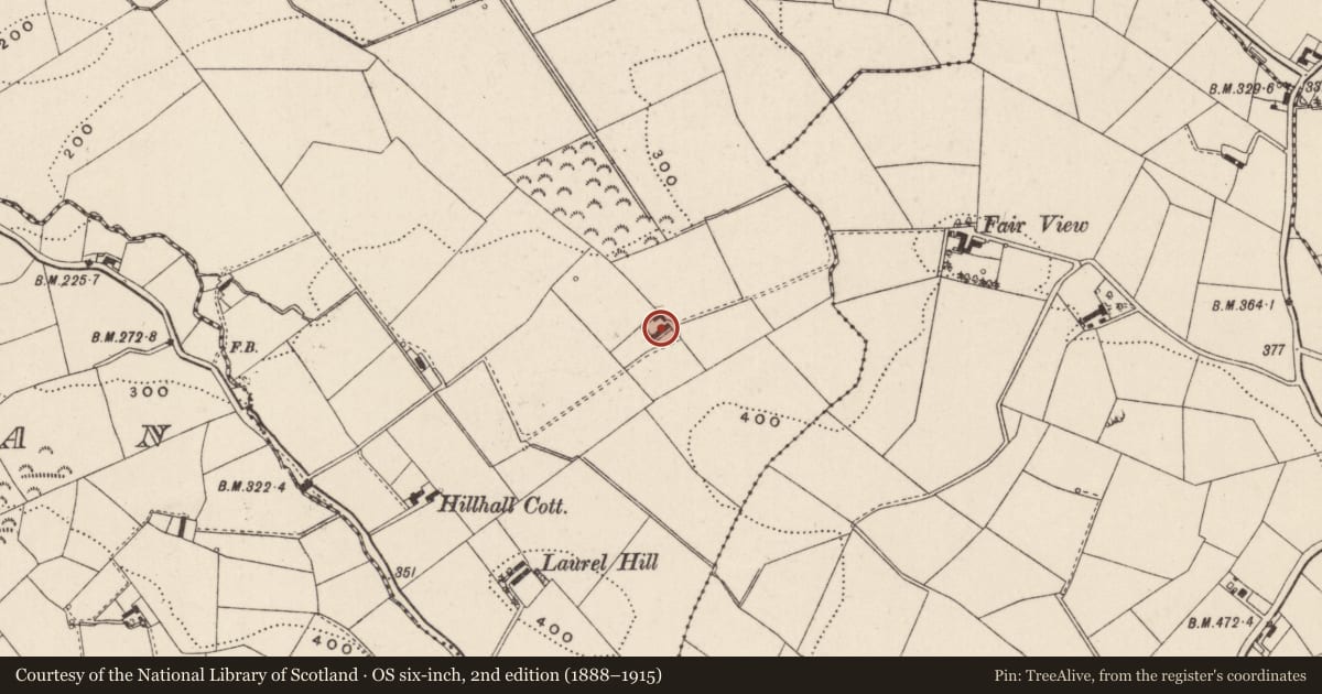 Ordnance Survey six-inch map, 2nd edition (1888–1915) covering the location of Diamond Hill, Hillhall, Lisburn and Castlereagh, with a pin at the register's coordinates