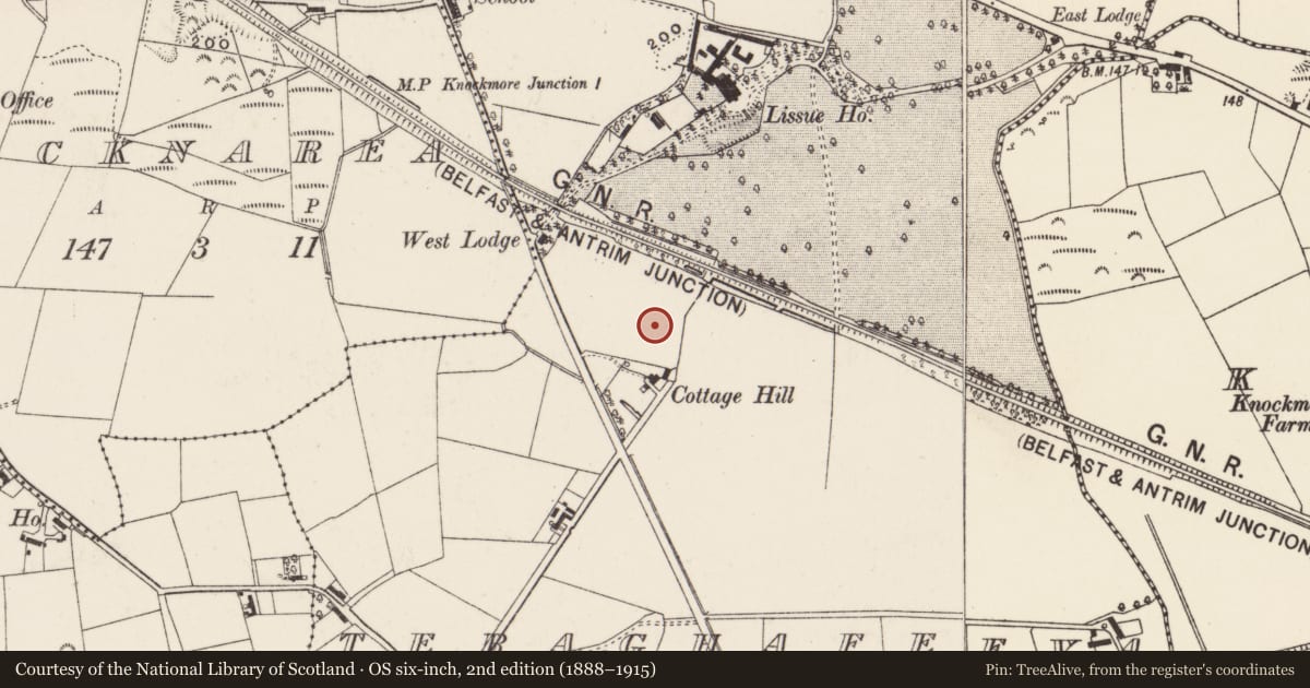 Ordnance Survey six-inch map, 2nd edition (1888–1915) covering the location of Cottage Hill, Lisburn and Castlereagh, with a pin at the register's coordinates