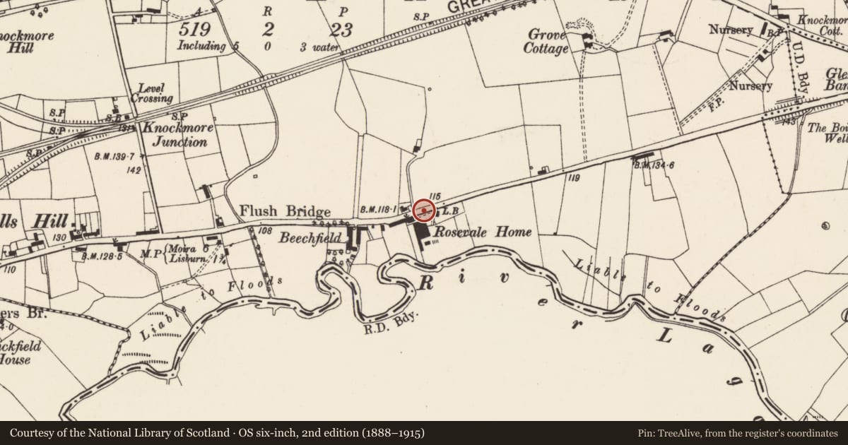 Ordnance Survey six-inch map, 2nd edition (1888–1915) covering the location of Rosevale Avenue, Lisburn and Castlereagh, with a pin at the register's coordinates