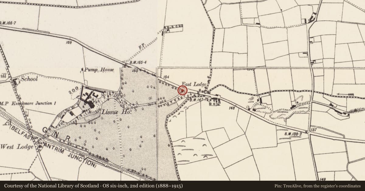 Ordnance Survey six-inch map, 2nd edition (1888–1915) covering the location of East Gate Lodge, Teraghafeeva or Lissue, Lisburn and Castlereagh, with a pin at the register's coordinates