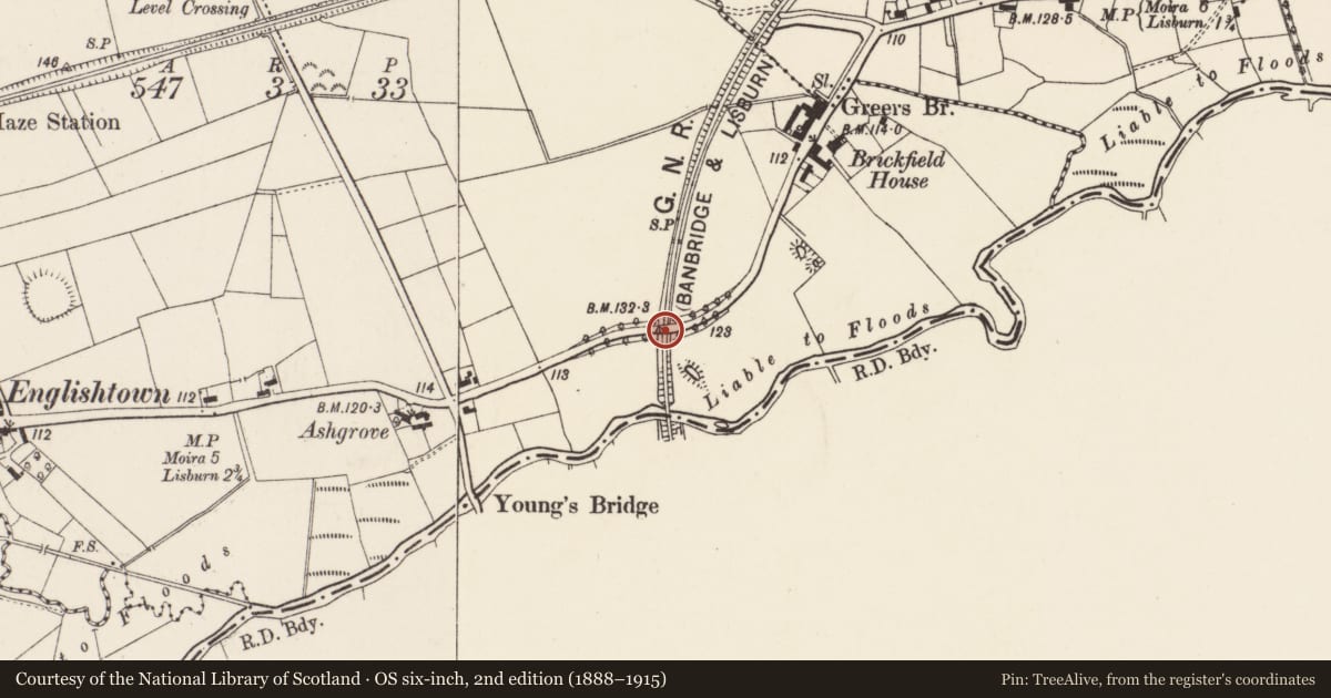 Ordnance Survey six-inch map, 2nd edition (1888–1915) covering the location of Road-over-railway Bridge, Teraghafeeva of Lissue, Lisburn and Castlereagh, with a pin at the register's coordinates