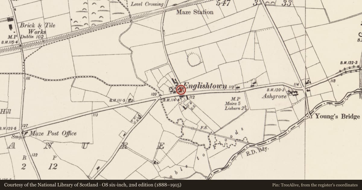Ordnance Survey six-inch map, 2nd edition (1888–1915) covering the location of Maze Station Hotel, Teraghafeeva or Lissue, Lisburn and Castlereagh, with a pin at the register's coordinates