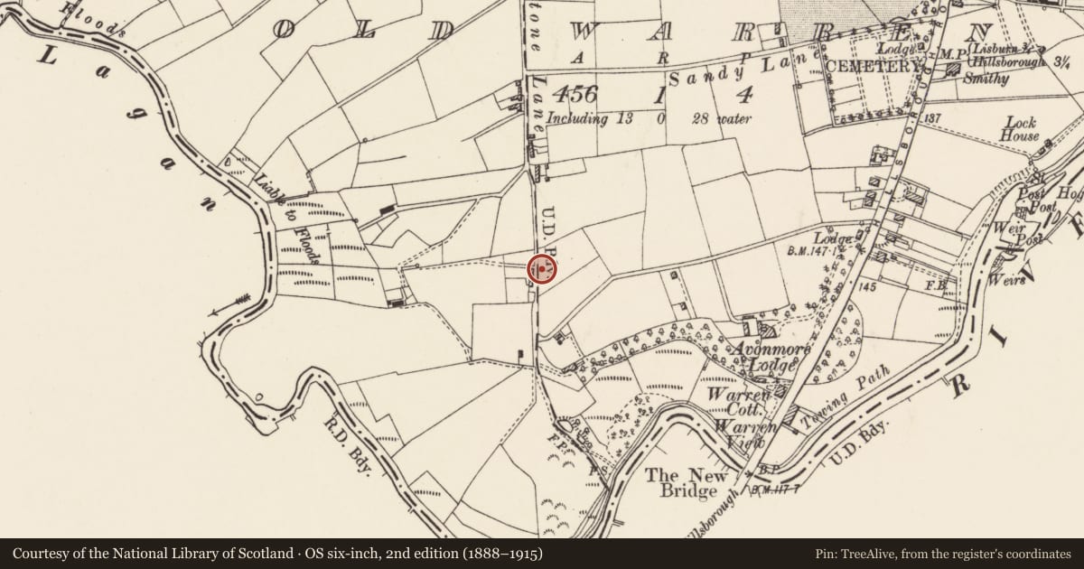 Ordnance Survey six-inch map, 2nd edition (1888–1915) covering the location of 130, 132, 134 Warren Gardens, Lisburn and Castlereagh, with a pin at the register's coordinates