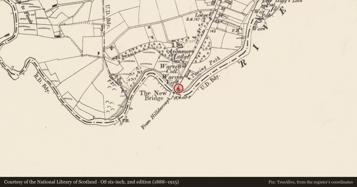Ordnance Survey six-inch map, 2nd edition (1888–1915) covering the location of Moore's Bridge, Blaris/Old Warren, Lisburn and Castlereagh, with a pin at the register's coordinates