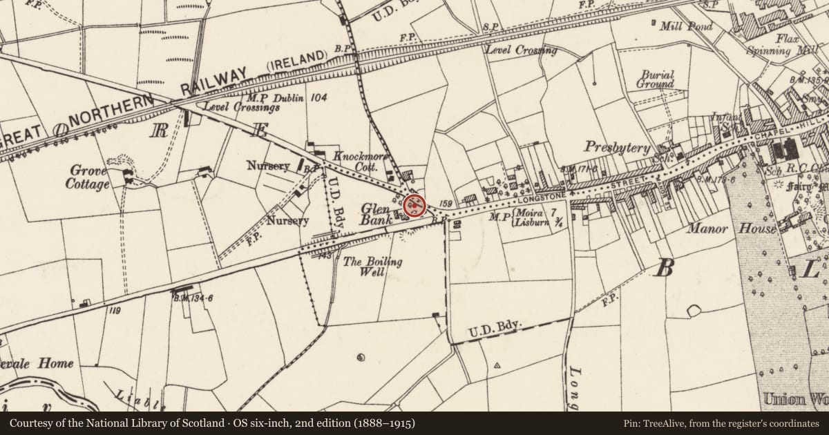 Ordnance Survey six-inch map, 2nd edition (1888–1915) covering the location of St. Paul’s Church of Ireland, Lisburn and Castlereagh, with a pin at the register's coordinates