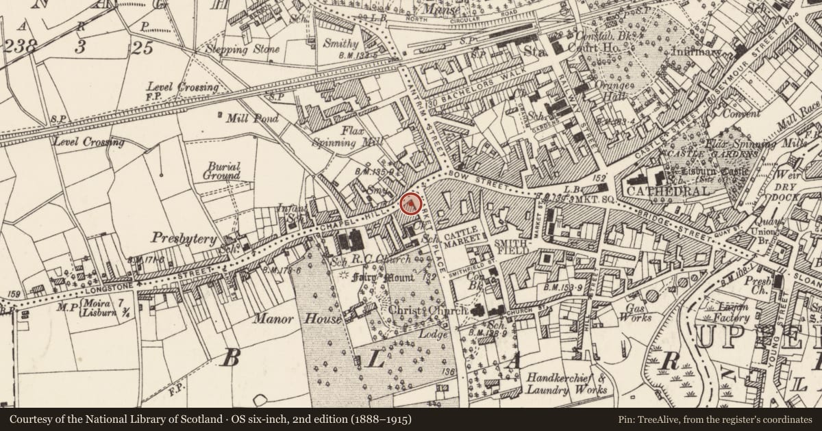 Ordnance Survey six-inch map, 2nd edition (1888–1915) covering the location of Lavery's, Old Warren, Lisburn and Castlereagh, with a pin at the register's coordinates