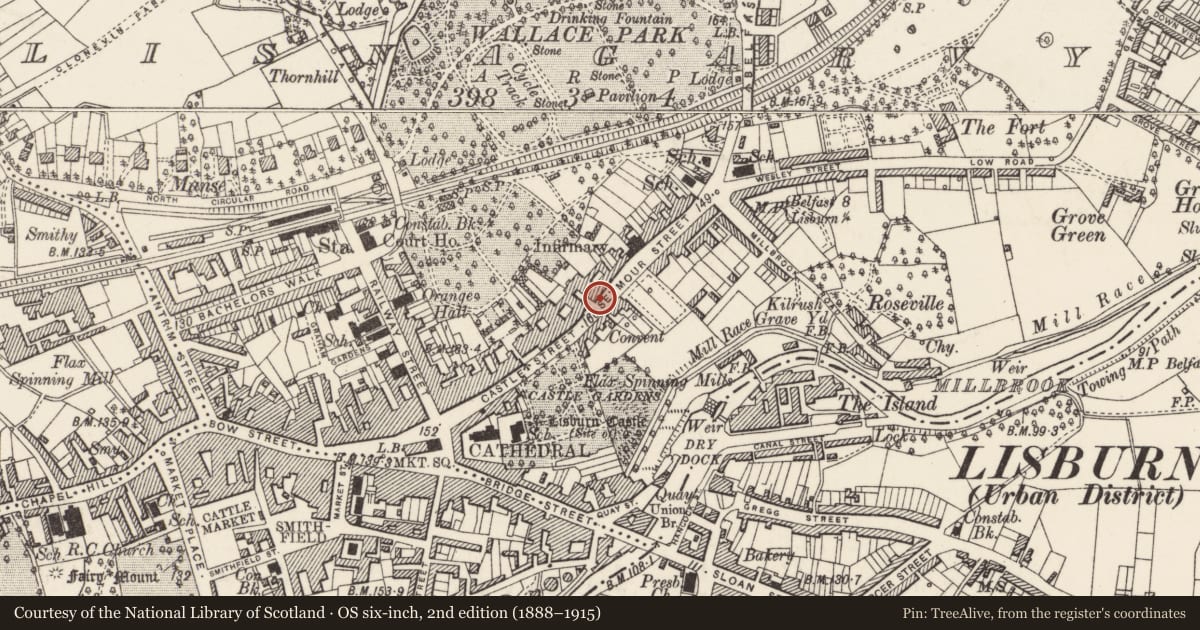 Ordnance Survey six-inch map, 2nd edition (1888–1915) covering the location of 45-47 Castle St., Lisburn and Castlereagh, with a pin at the register's coordinates