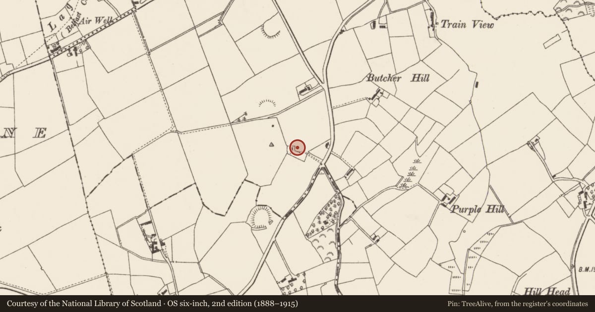 Ordnance Survey six-inch map, 2nd edition (1888–1915) covering the location of Ruinous Cottage, Lisburn and Castlereagh, with a pin at the register's coordinates