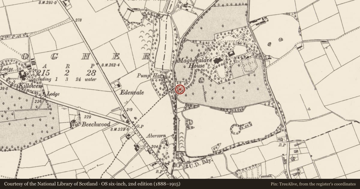 Ordnance Survey six-inch map, 2nd edition (1888–1915) covering the location of Entrance Gates, Lisburn and Castlereagh, with a pin at the register's coordinates