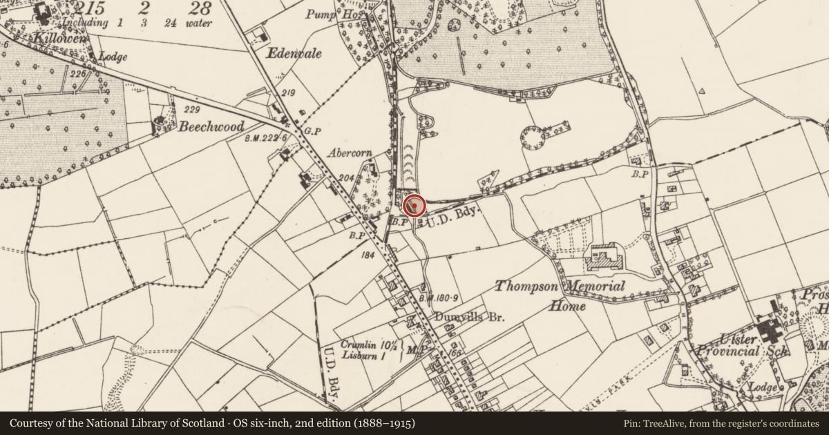 Ordnance Survey six-inch map, 2nd edition (1888–1915) covering the location of Semi-detached House, Lisburn and Castlereagh, with a pin at the register's coordinates