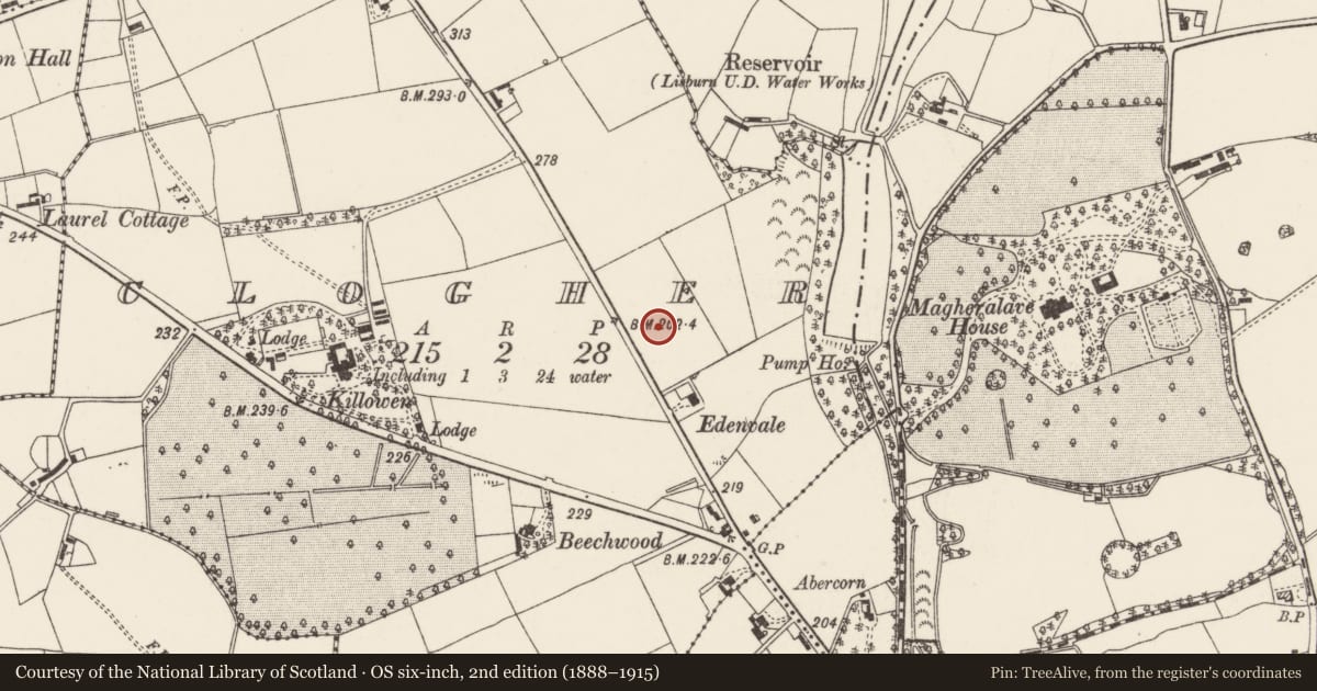 Ordnance Survey six-inch map, 2nd edition (1888–1915) covering the location of Pond Park, Lisburn and Castlereagh, with a pin at the register's coordinates
