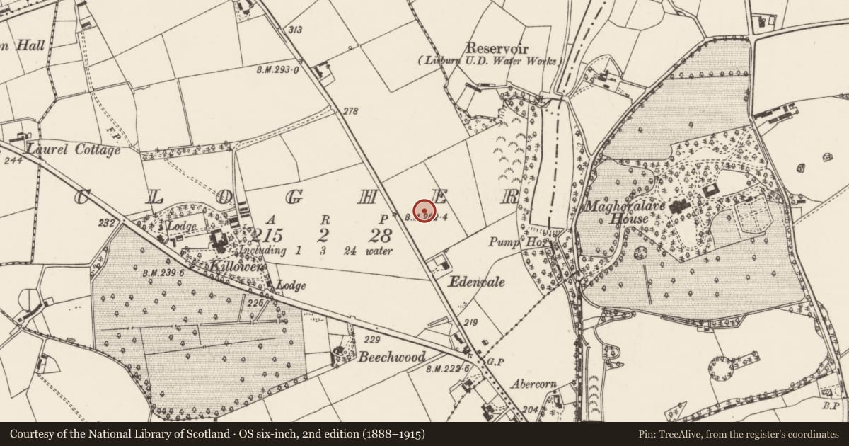 Ordnance Survey six-inch map, 2nd edition (1888–1915) covering the location of 22 Pond Park Road, Clogher, Lisburn and Castlereagh, with a pin at the register's coordinates