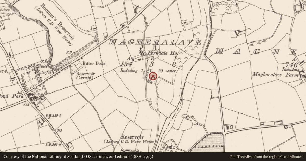 Ordnance Survey six-inch map, 2nd edition (1888–1915) covering the location of Cherryville, Magheralave Upper Massereene, Lisburn and Castlereagh, with a pin at the register's coordinates