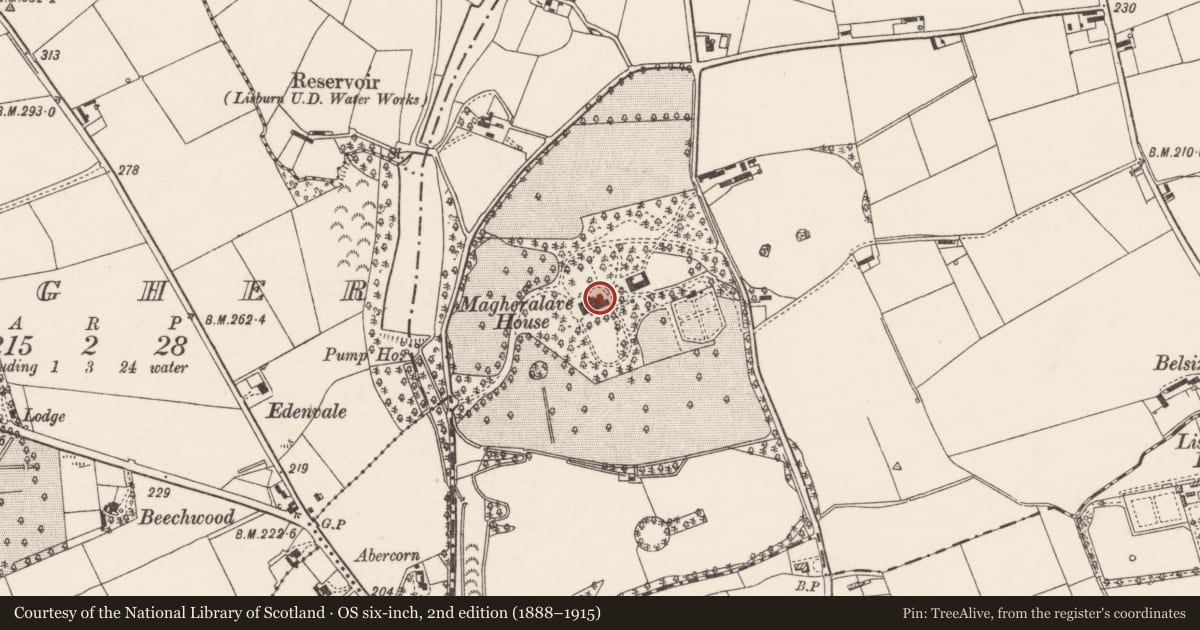 Ordnance Survey six-inch map, 2nd edition (1888–1915) covering the location of Magheralave House, Lisnagarvy, Lisburn and Castlereagh, with a pin at the register's coordinates