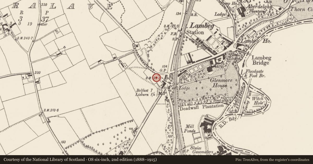 Ordnance Survey six-inch map, 2nd edition (1888–1915) covering the location of Harmony Hill Presbyterian Church, Magheralave Upper Belfast, with a pin at the register's coordinates