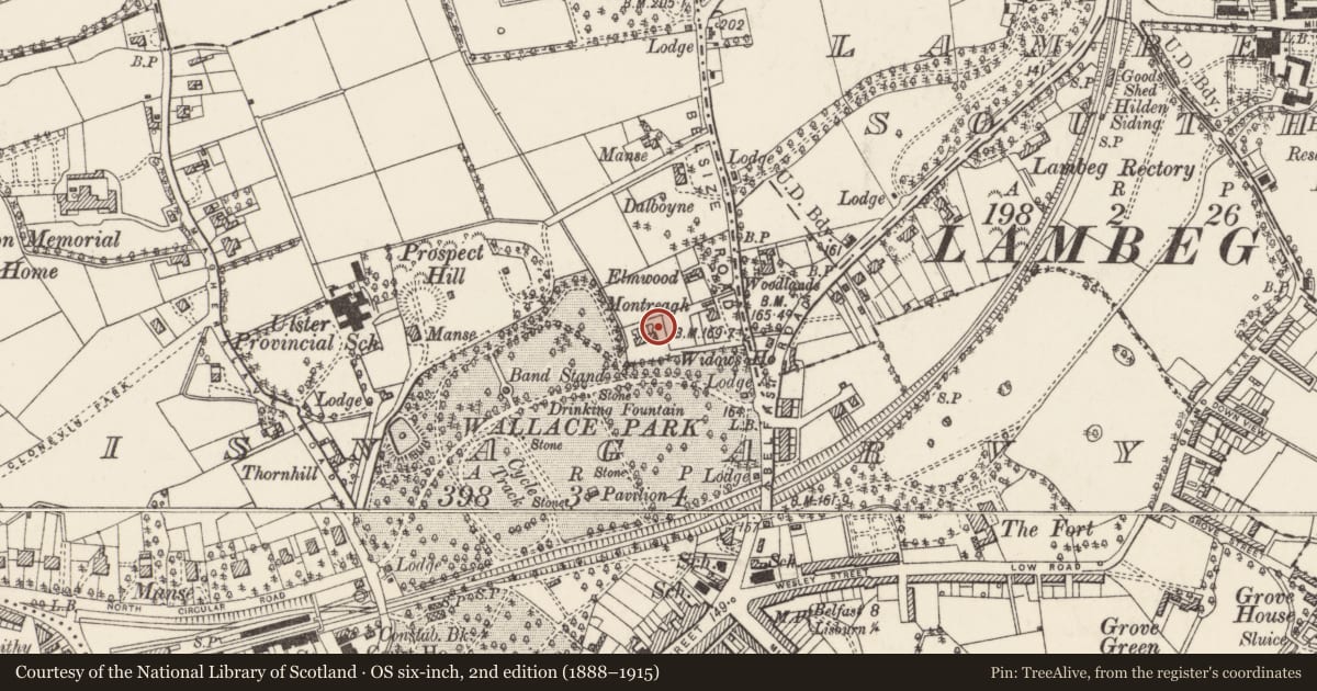 Ordnance Survey six-inch map, 2nd edition (1888–1915) covering the location of 3 Parkmount, Lisnagarvy, Lisburn and Castlereagh, with a pin at the register's coordinates