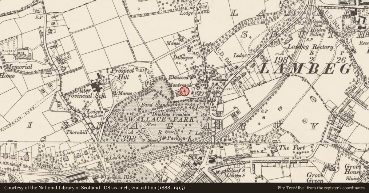 Ordnance Survey six-inch map, 2nd edition (1888–1915) covering the location of Oakleigh, Lisnagarvy, Lisburn and Castlereagh, with a pin at the register's coordinates