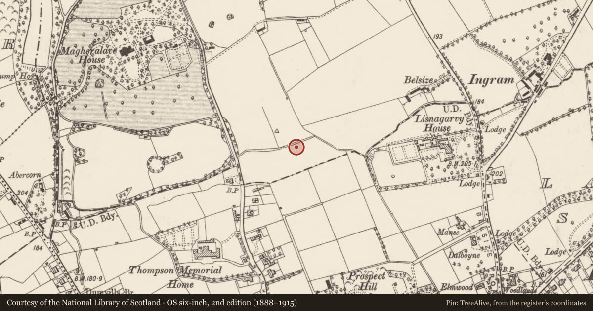 Ordnance Survey six-inch map, 2nd edition (1888–1915) covering the location of 12 Magheralave Park South, Lisnagarvy Magheralave Upper Belfast, Lisburn and Castlereagh, with a pin at the register's coordinates