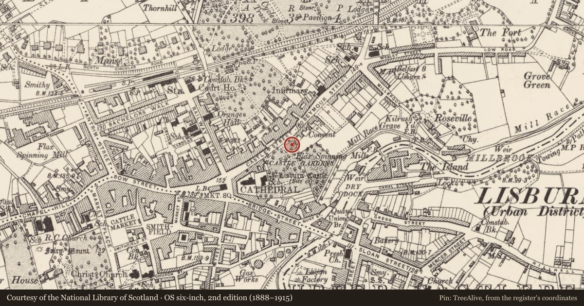 Ordnance Survey six-inch map, 2nd edition (1888–1915) covering the location of Drinking Fountain, Lisangarvy, Lisburn and Castlereagh, with a pin at the register's coordinates