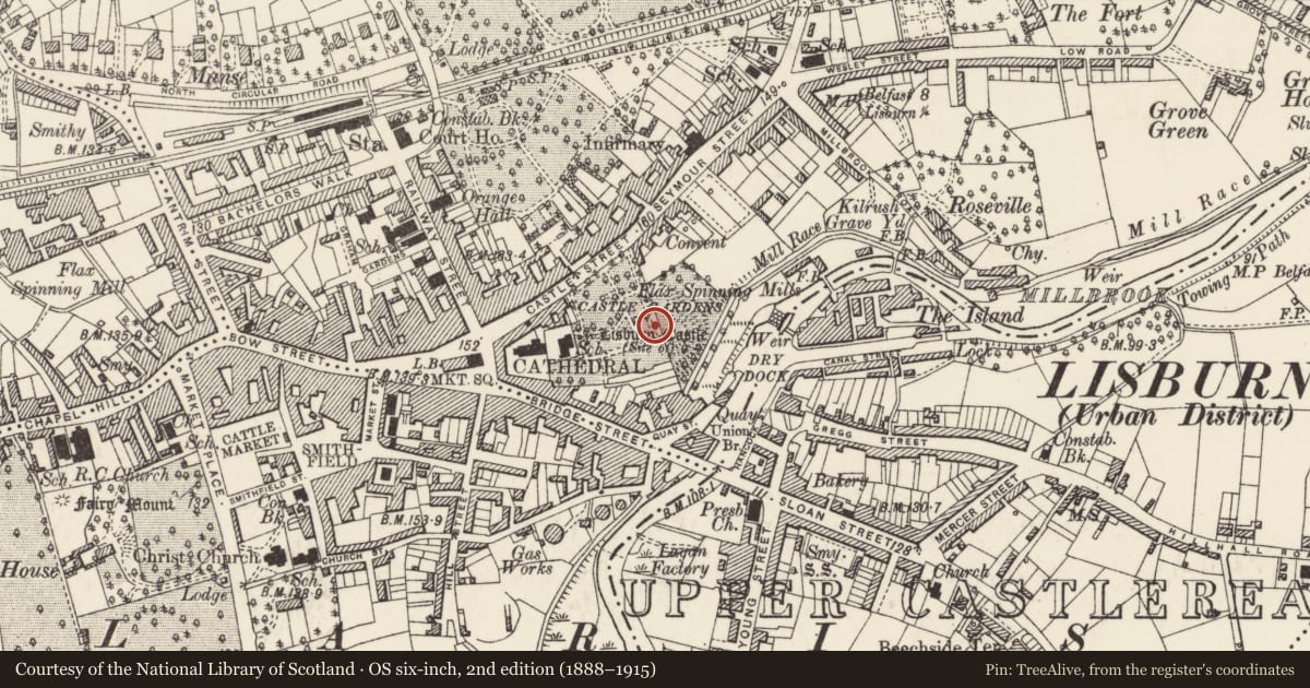 Ordnance Survey six-inch map, 2nd edition (1888–1915) covering the location of Wallace Memorial, Lisnagarvy, Lisburn and Castlereagh, with a pin at the register's coordinates