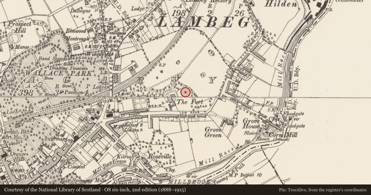 Ordnance Survey six-inch map, 2nd edition (1888–1915) covering the location of Fort Hill Integrated College, Lisburn and Castlereagh, with a pin at the register's coordinates