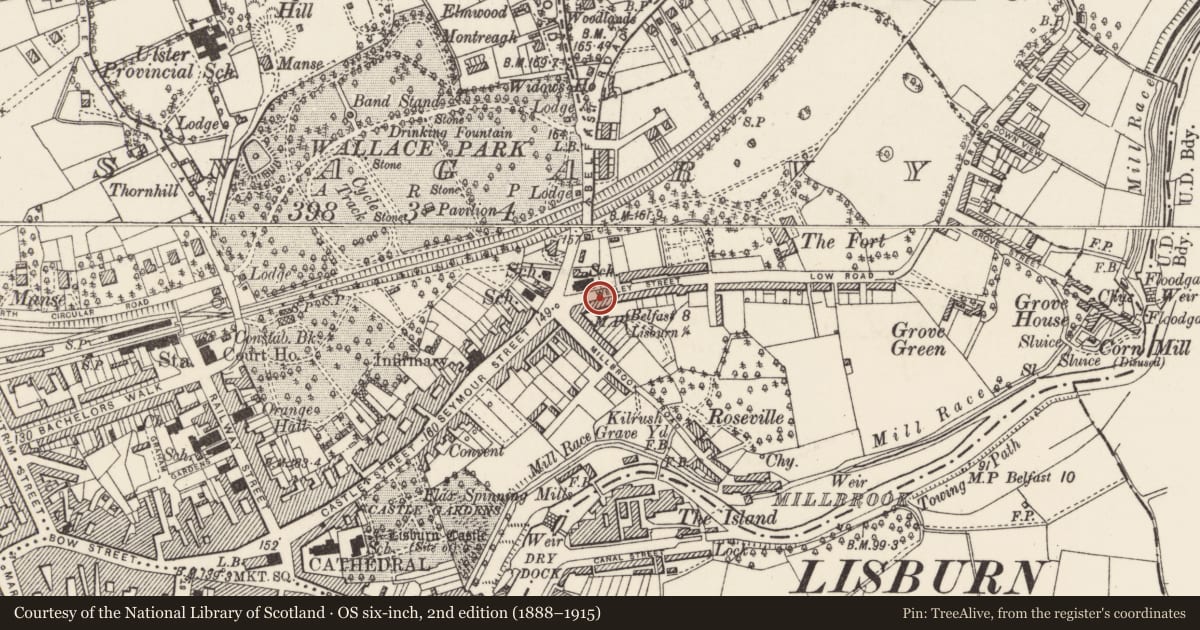 Ordnance Survey six-inch map, 2nd edition (1888–1915) covering the location of 4 Victoria Crescent, Lisnagarvy, Lisburn and Castlereagh, with a pin at the register's coordinates