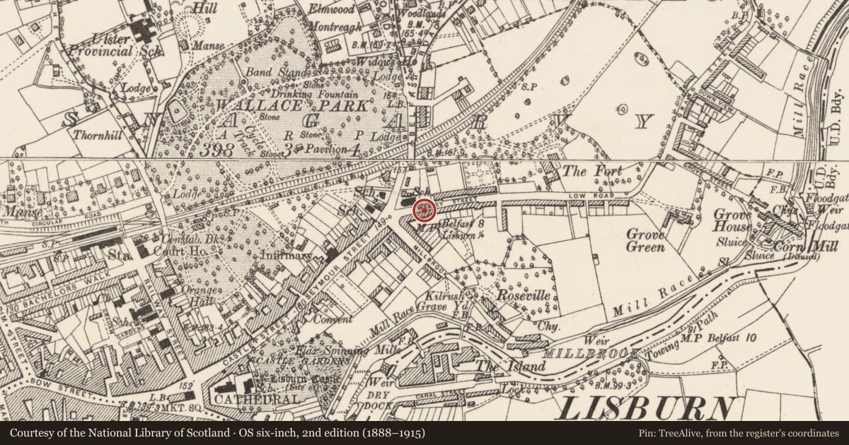 Ordnance Survey six-inch map, 2nd edition (1888–1915) covering the location of 8 Victoria Crescent, Lisnagarvy, Lisburn and Castlereagh, with a pin at the register's coordinates