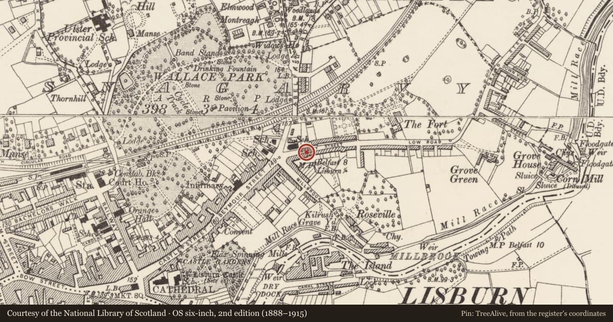 Ordnance Survey six-inch map, 2nd edition (1888–1915) covering the location of 10 Victoria Crescent, Lisnagarvy, Lisburn and Castlereagh, with a pin at the register's coordinates
