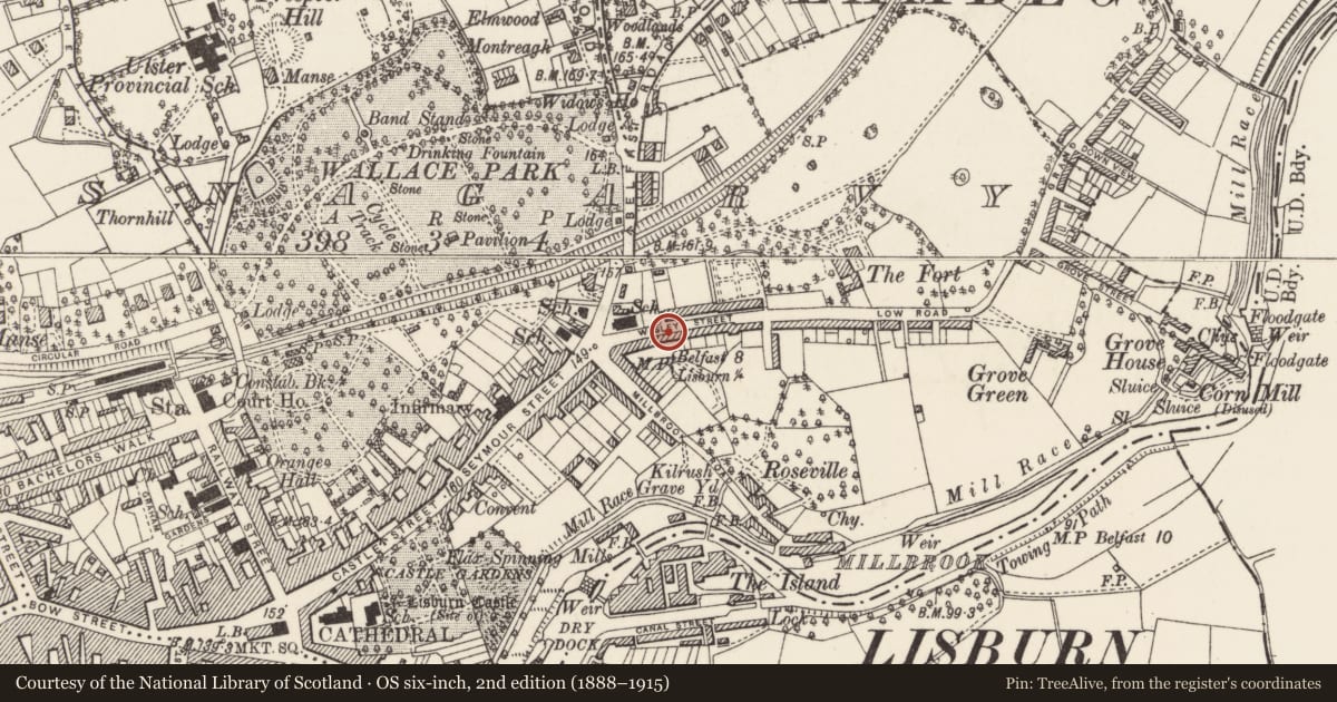 Ordnance Survey six-inch map, 2nd edition (1888–1915) covering the location of 18 Victoria Crescent, Lisnagarvy, Lisburn and Castlereagh, with a pin at the register's coordinates
