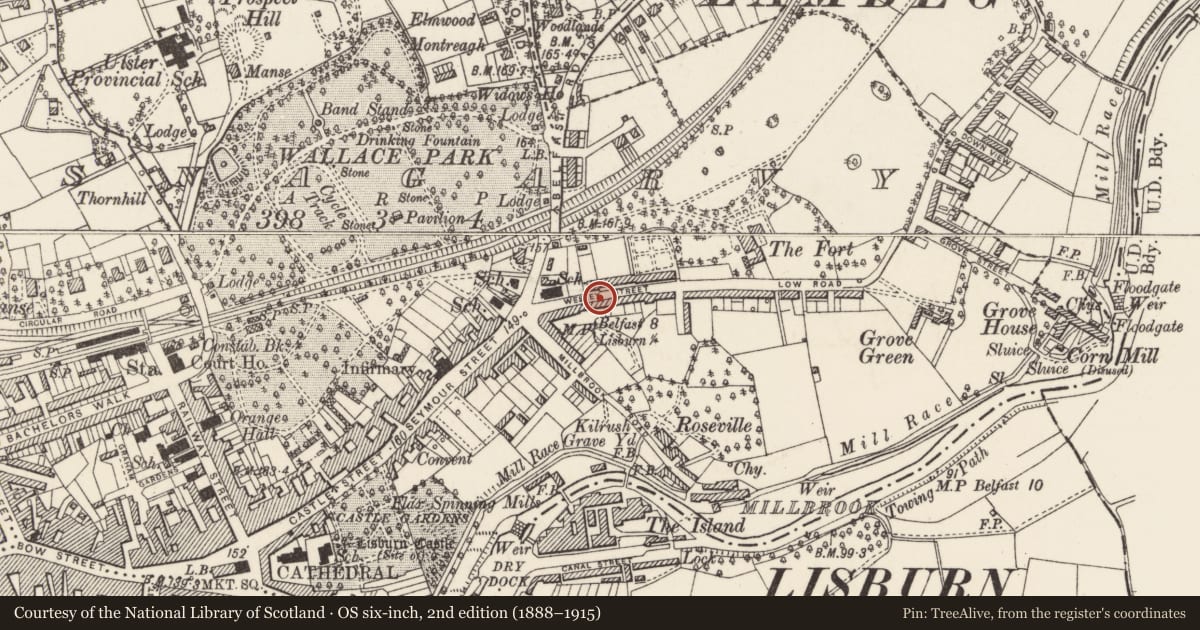 Ordnance Survey six-inch map, 2nd edition (1888–1915) covering the location of 22 Victoria Crescent, Lisnagarvy, Lisburn and Castlereagh, with a pin at the register's coordinates