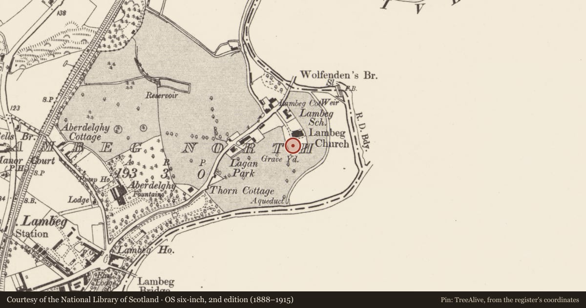 Ordnance Survey six-inch map, 2nd edition (1888–1915) covering the location of Barbour Tomb and Railings, Lambeg North, Lisburn and Castlereagh, with a pin at the register's coordinates