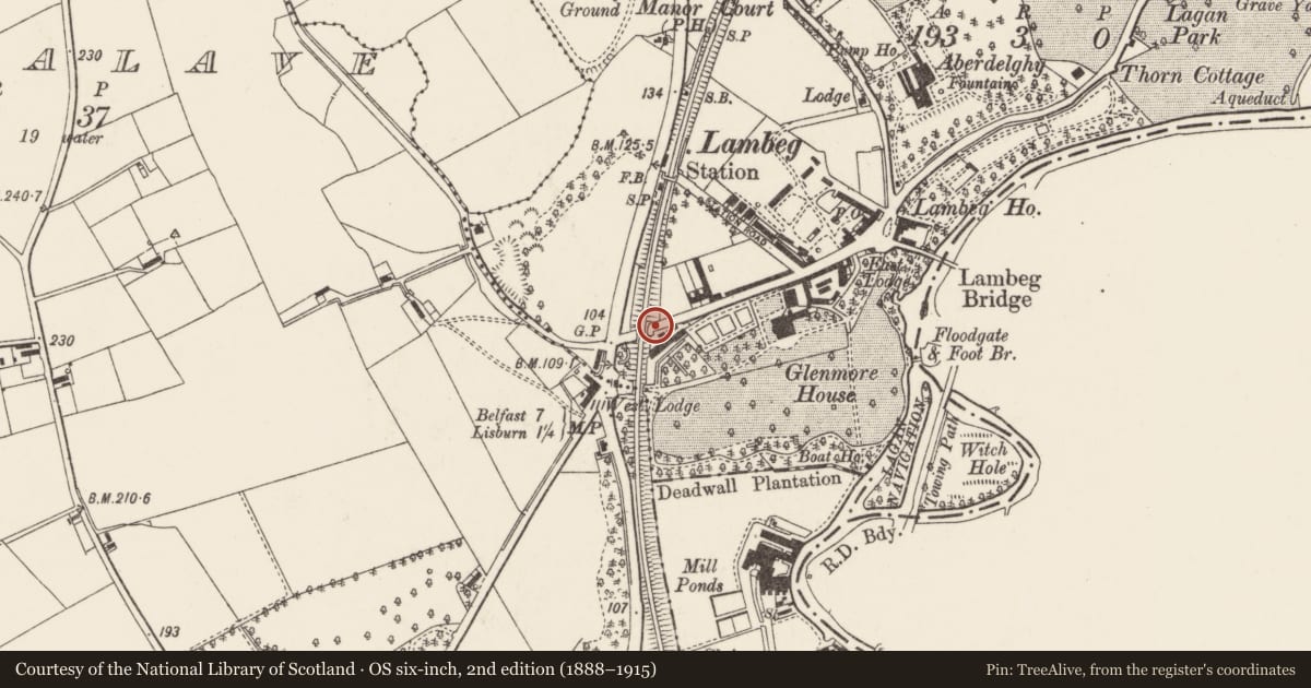Ordnance Survey six-inch map, 2nd edition (1888–1915) covering the location of Railway Bridge, Lambeg North, Lisburn and Castlereagh, with a pin at the register's coordinates