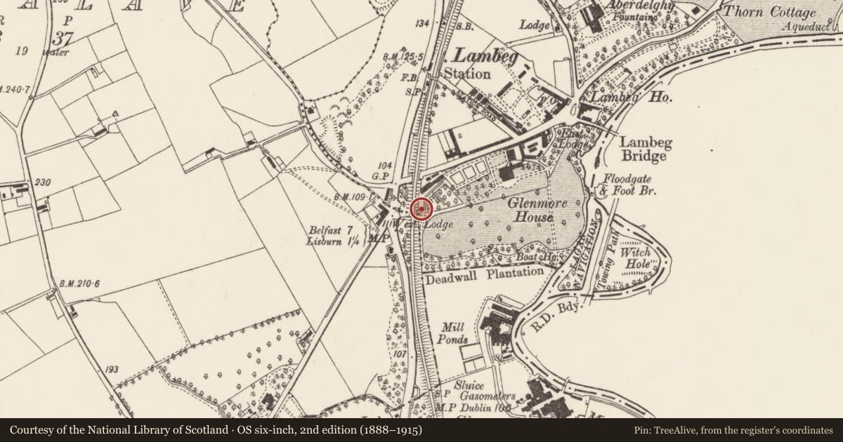 Ordnance Survey six-inch map, 2nd edition (1888–1915) covering the location of Railway bridge opposite Moss Road, Lambeg, Lisburn, Co Antrim, Lambeg North, Lisburn and Castlereagh, with a pin at the register's coordinates