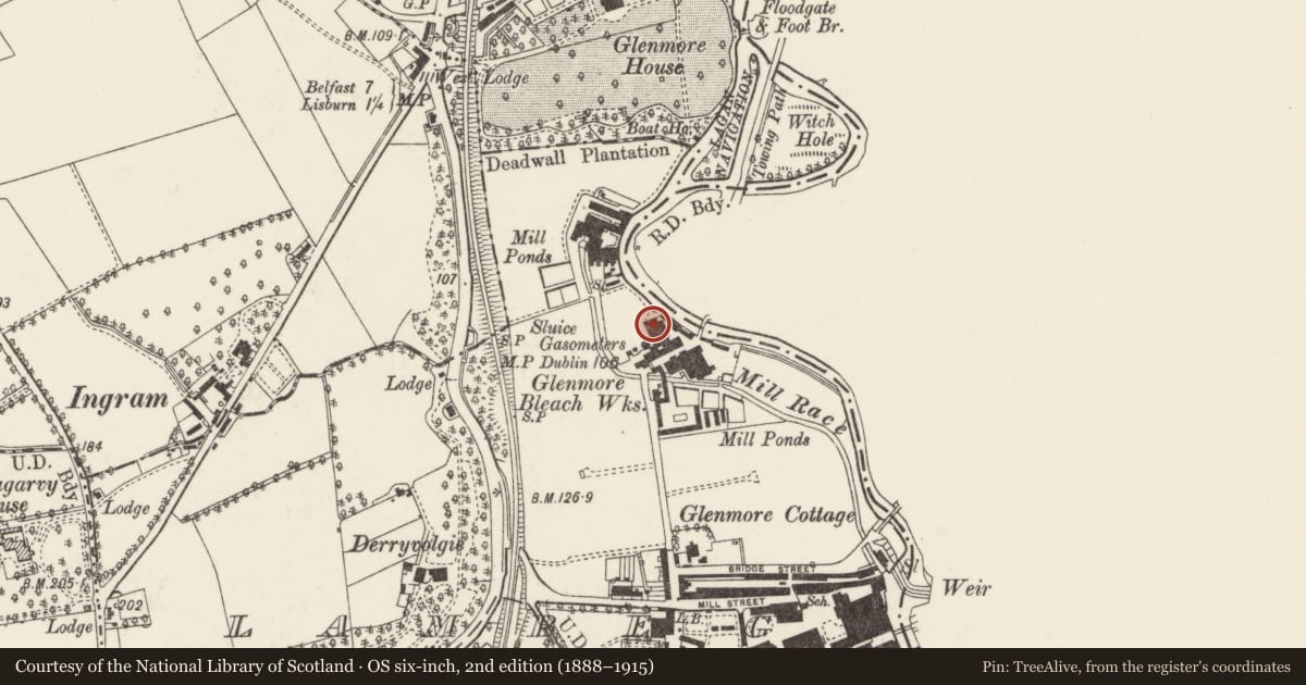 Ordnance Survey six-inch map, 2nd edition (1888–1915) covering the location of Glenmore Bleachworks, Lisburn and Castlereagh, with a pin at the register's coordinates