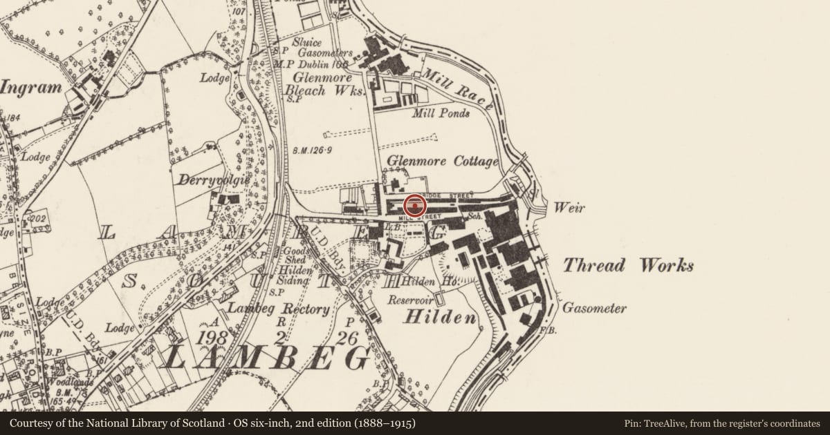 Ordnance Survey six-inch map, 2nd edition (1888–1915) covering the location of Terrace, Lisburn and Castlereagh, with a pin at the register's coordinates
