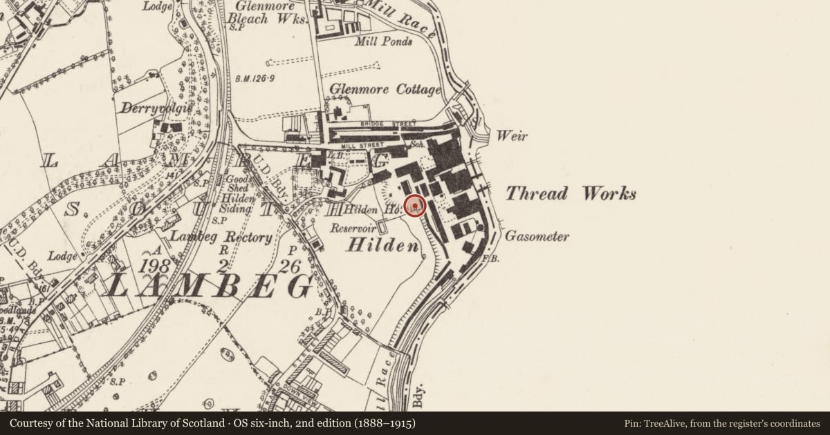 Ordnance Survey six-inch map, 2nd edition (1888–1915) covering the location of Belfast Roof Truss Buildings at Hilden Mill, Lambeg South, Lisburn and Castlereagh, with a pin at the register's coordinates