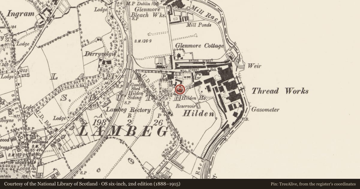 Ordnance Survey six-inch map, 2nd edition (1888–1915) covering the location of Hilden House, Lambeg South, Lisburn and Castlereagh, with a pin at the register's coordinates