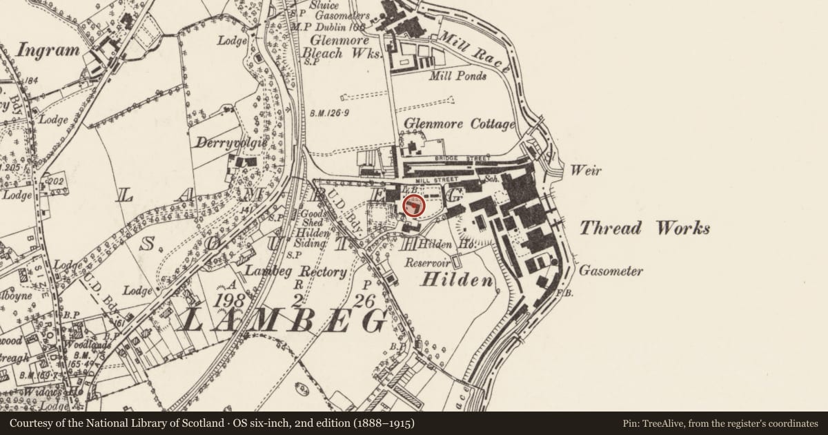 Ordnance Survey six-inch map, 2nd edition (1888–1915) covering the location of Hilden House Brewery, Lambeg South, Lisburn and Castlereagh, with a pin at the register's coordinates