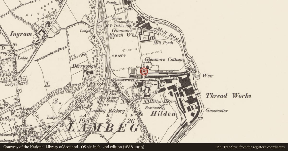 Ordnance Survey six-inch map, 2nd edition (1888–1915) covering the location of 1-10 Richardson’s Row (Glenmore Terrace), Lisburn and Castlereagh, with a pin at the register's coordinates
