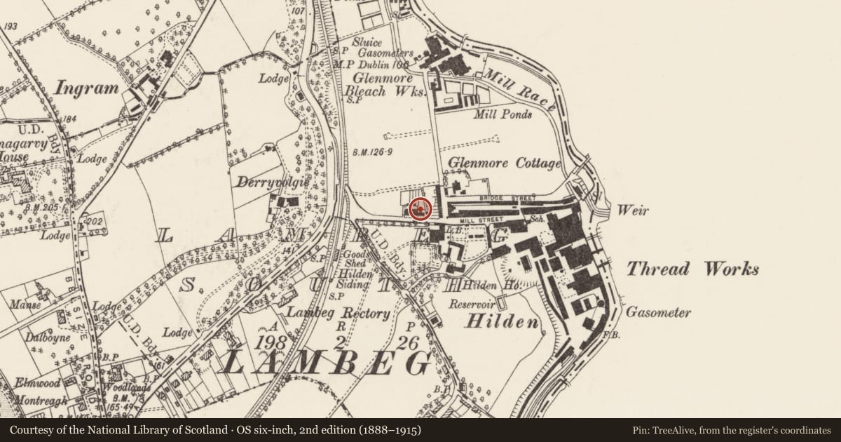 Ordnance Survey six-inch map, 2nd edition (1888–1915) covering the location of 3 Glenmore Terrace, Lambeg South, Lisburn and Castlereagh, with a pin at the register's coordinates